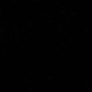 Meet your Posher, Dee